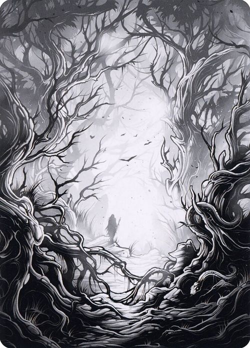 Forest // Forest
