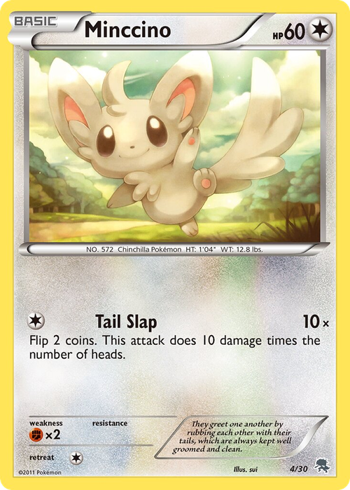 Minccino
