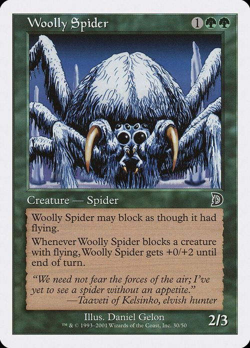 Woolly Spider