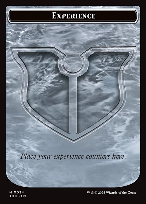 Experience