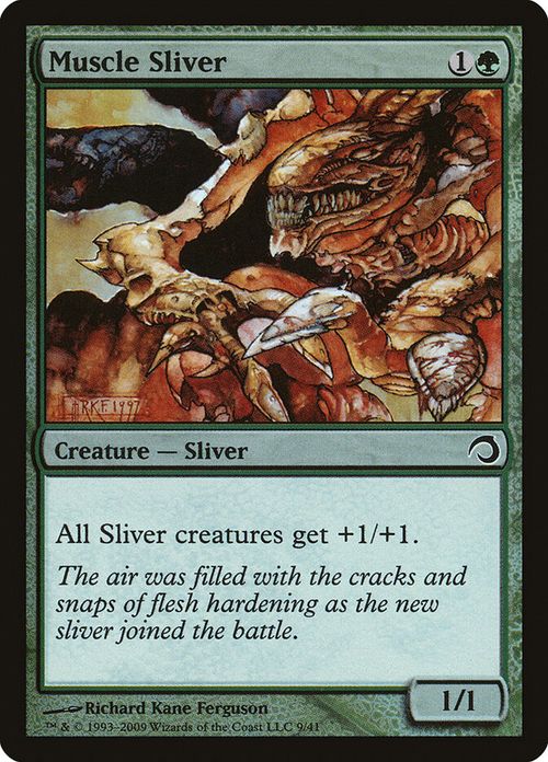 Muscle Sliver